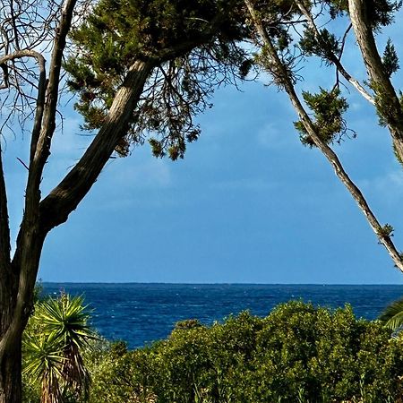 Villa Macalia Pietrosella Εξωτερικό φωτογραφία