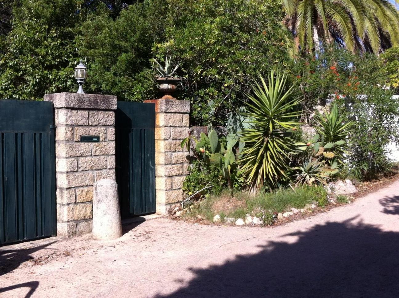 Villa Macalia Pietrosella Εξωτερικό φωτογραφία