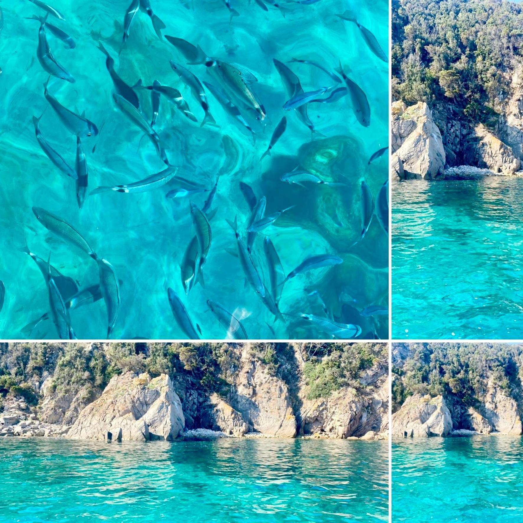 Villa Macalia Pietrosella Εξωτερικό φωτογραφία